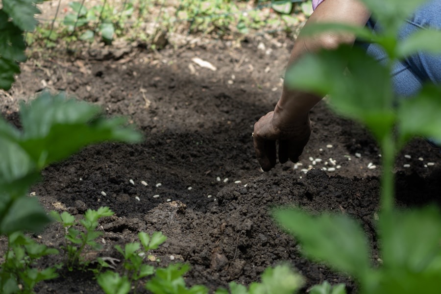 Gardener using a fork to aerate compacted soil in a Cheltenham garden